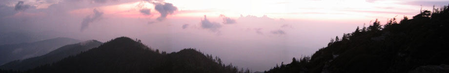 The Maze and Her Path Rotating Header Image