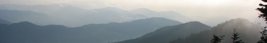 The Maze and Her Path Rotating Header Image